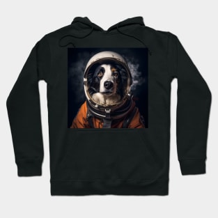 Astro Dog - Border Collie Hoodie